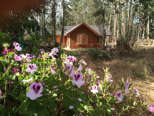 El Quisco Chile código de promoción de vacaciones booking.com