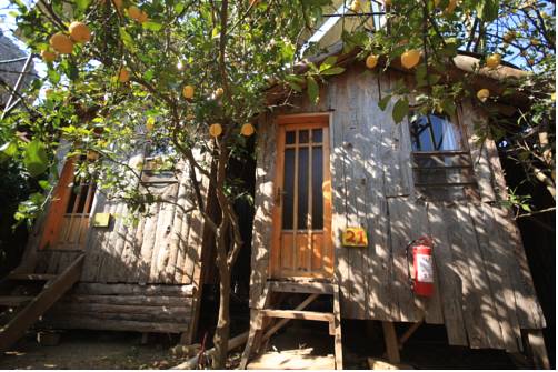奥林波斯 火雞 Olympos 假日促销代码 booking.com