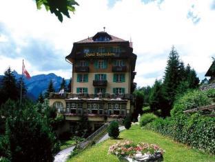 Wengen Switzerland Holiday