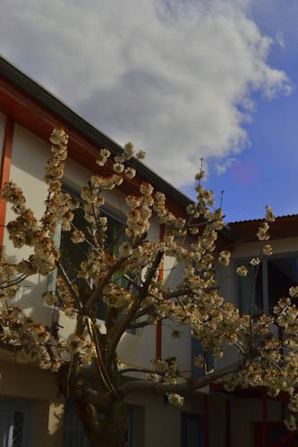エルカラファテ アルゼンチン ホリデープロモーションコード El Calafate booking.com